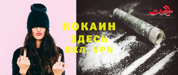 сатива Белокуриха