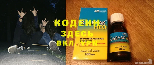 сатива Белокуриха