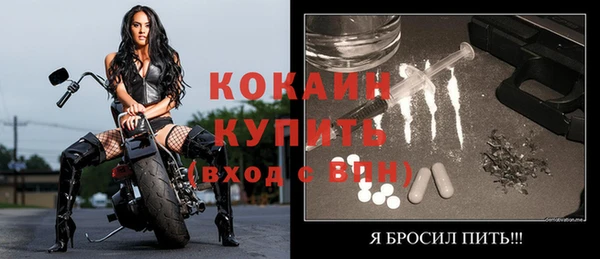 сатива Белокуриха