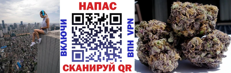 Марихуана план  Маркс 
